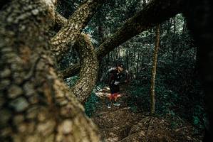 BIB: 
                            <button type="button" onclick="openModal(25704528)" class="btn btn-primary btn-sm float-right btn-popup" data-toggle="modal" data-target=".modal-high-quality">
                        <i class="fas fa-shopping-cart"></i> Add to Cart
                    </button>
                                            <button type="button" onclick="isThisMe(25704528, true)" class="btn btn-success btn-sm float-right btn-popup btn-isme hidden" data-toggle="tooltip" data-placement="bottom" title="นี่คือรูปของคุณใช่ไหม คลิกที่นี่เพื่อเอาเข้าอัลบั้ม">
                        <i class="fas fa-plus"></i> Add to album
                    </button>
                    <button type="button" onclick="isThisMe(25704528, false)" class="btn btn-warning btn-sm float-right btn-popup btn-isnotme hidden">
                        <i class="fas fa-ban"></i> Remove from album
                    </button>